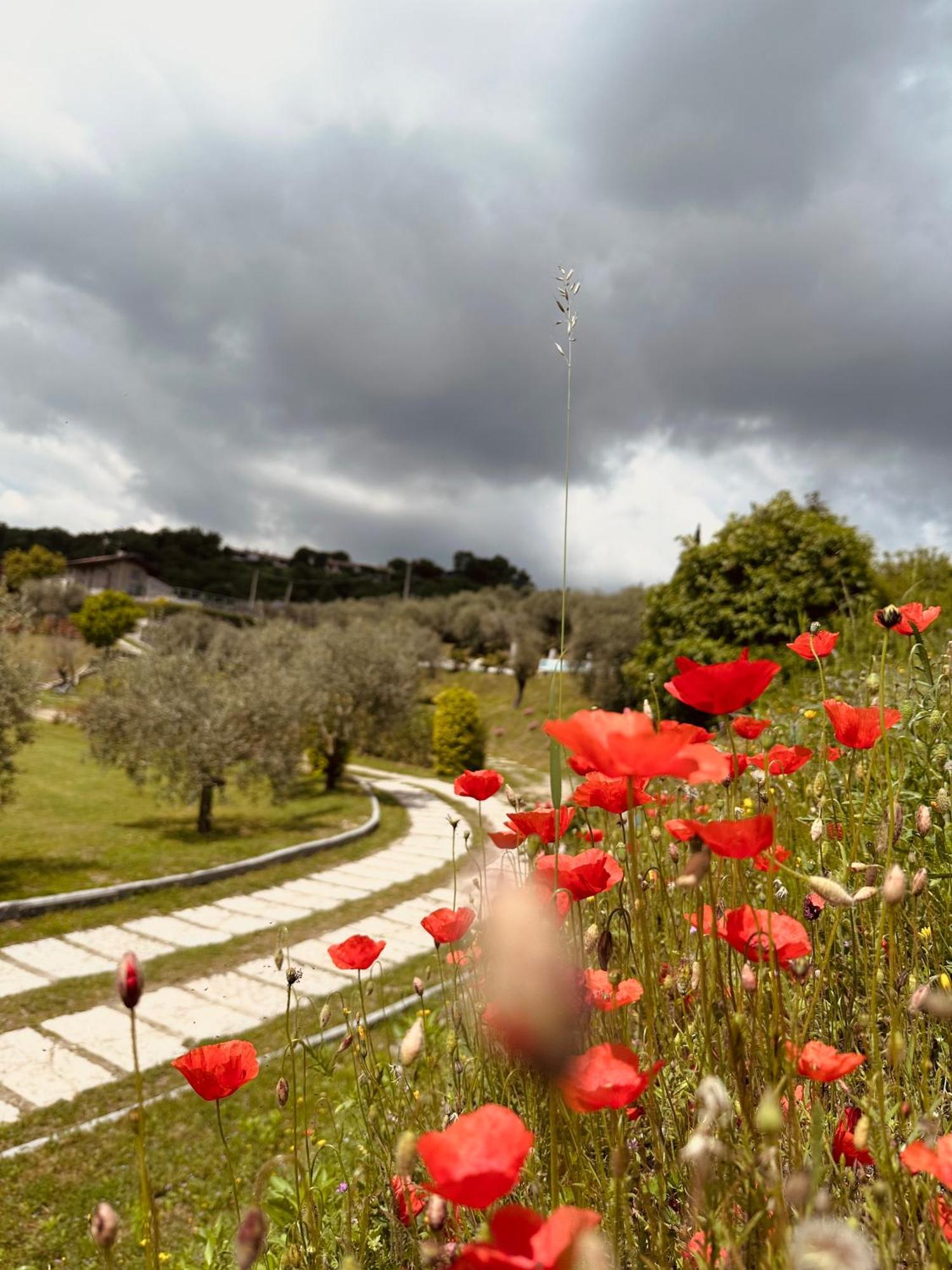 Holiday Home Sovenigo Puegnago del Garda Exterior photo